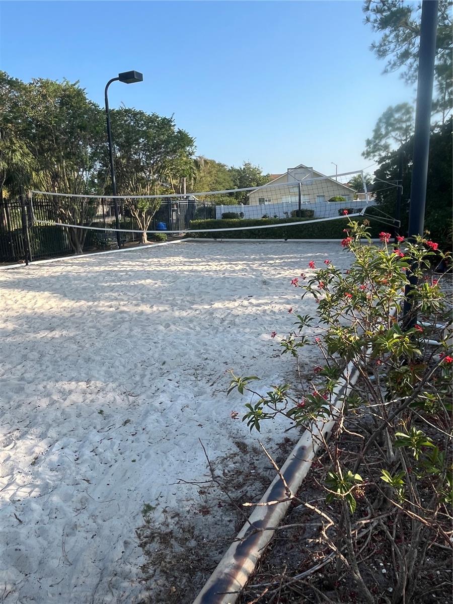 Volleyball