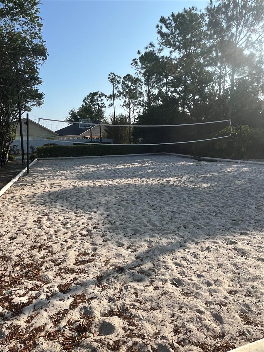 Volleyball