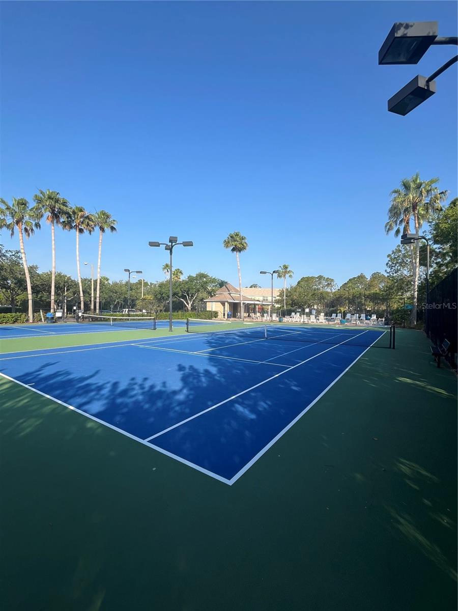 Tennis/pickle ball courts