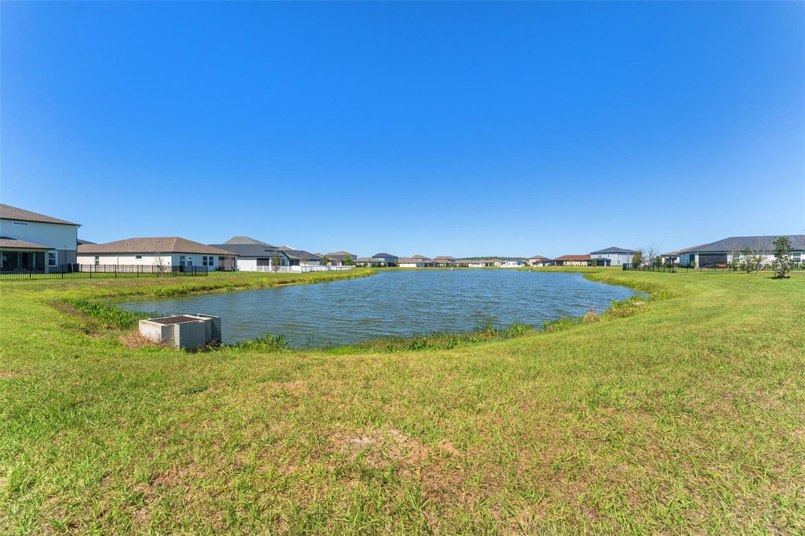 Backyard Pond Views