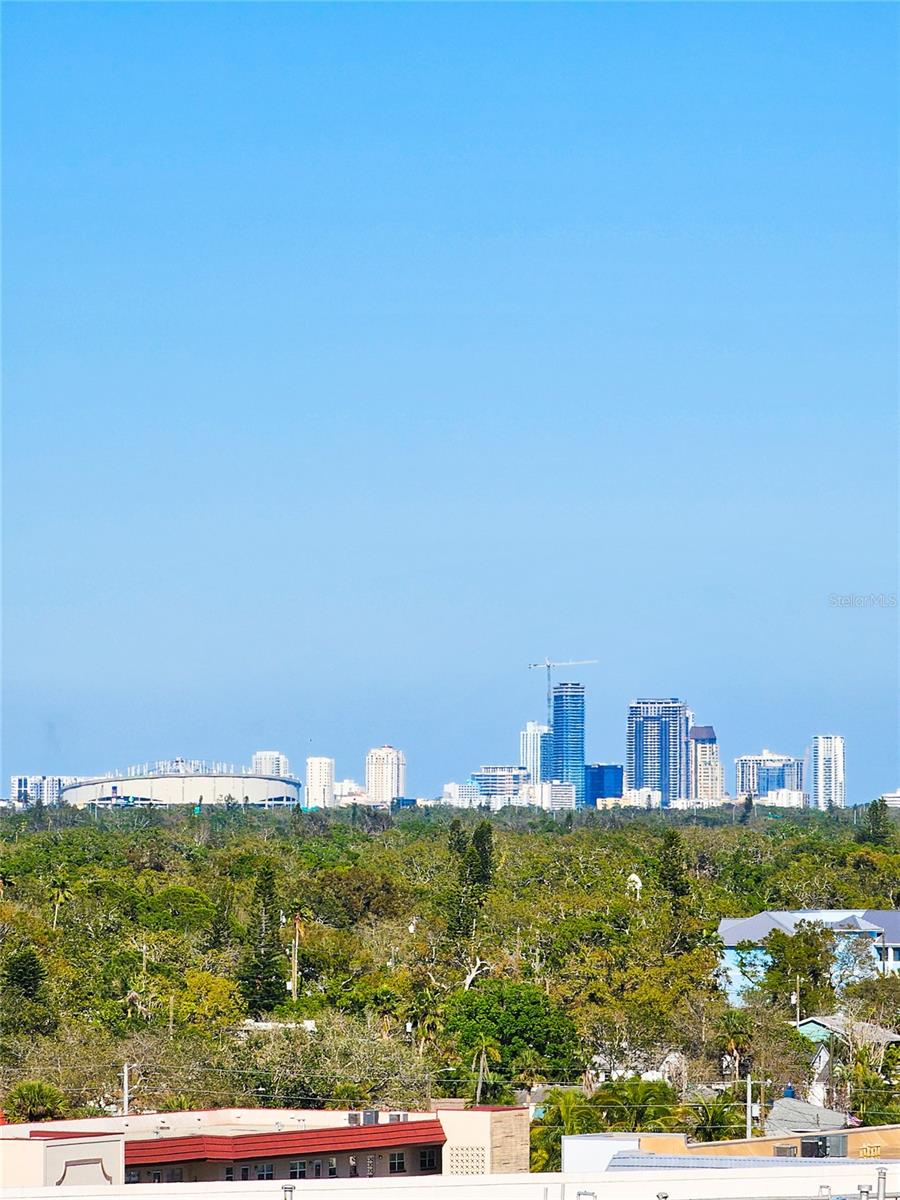 View From Front Door.