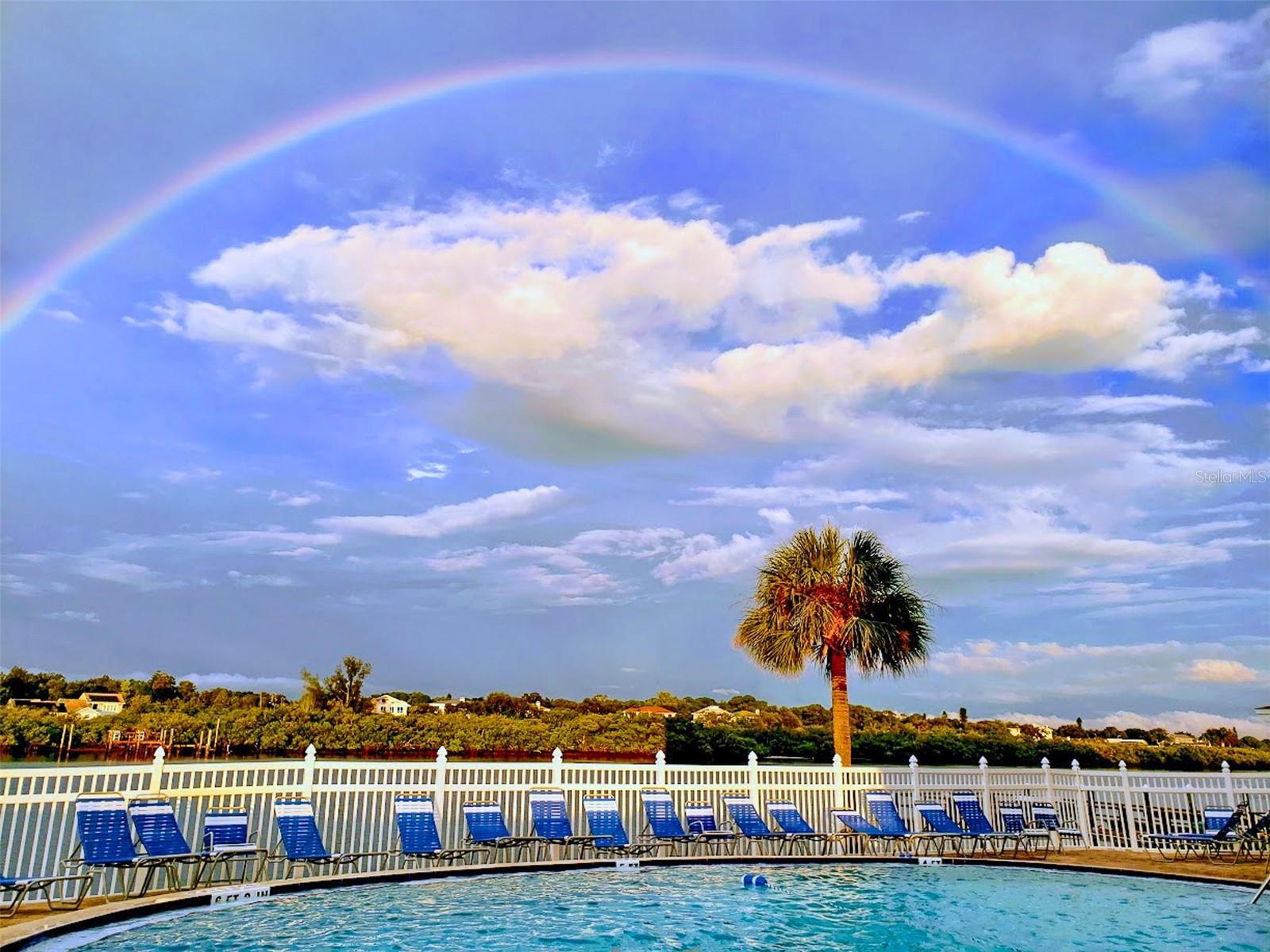 .. Yes, We Are Lucky to Enjoy Our Wonderful Little Slice Of Paradise. Sit by The Waterfront Pool and Watch The Dolphins Frolic.