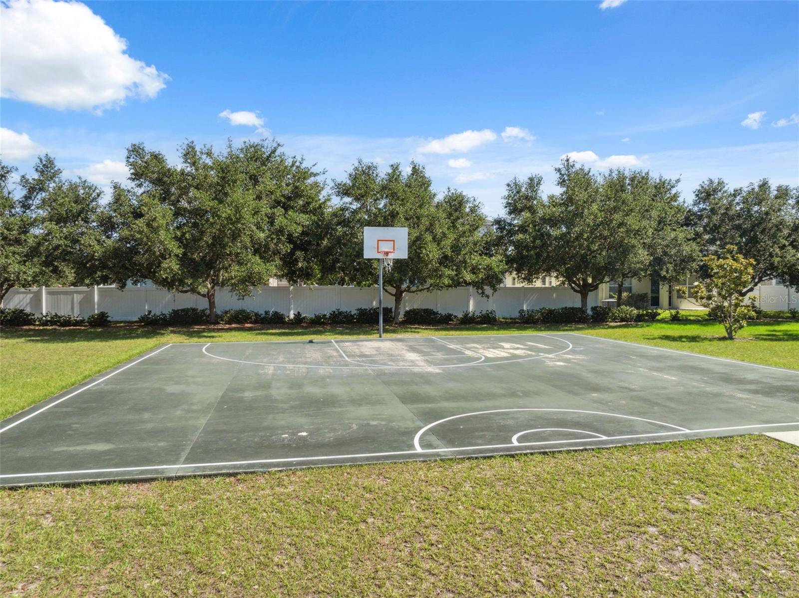 basketball court