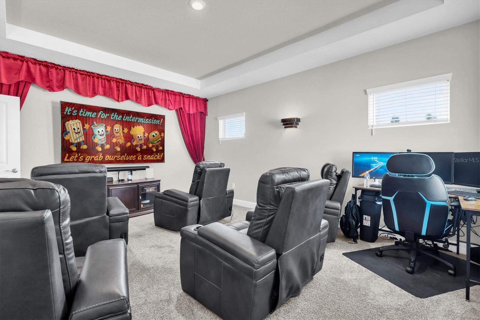 BONUS/THEATER ROOM