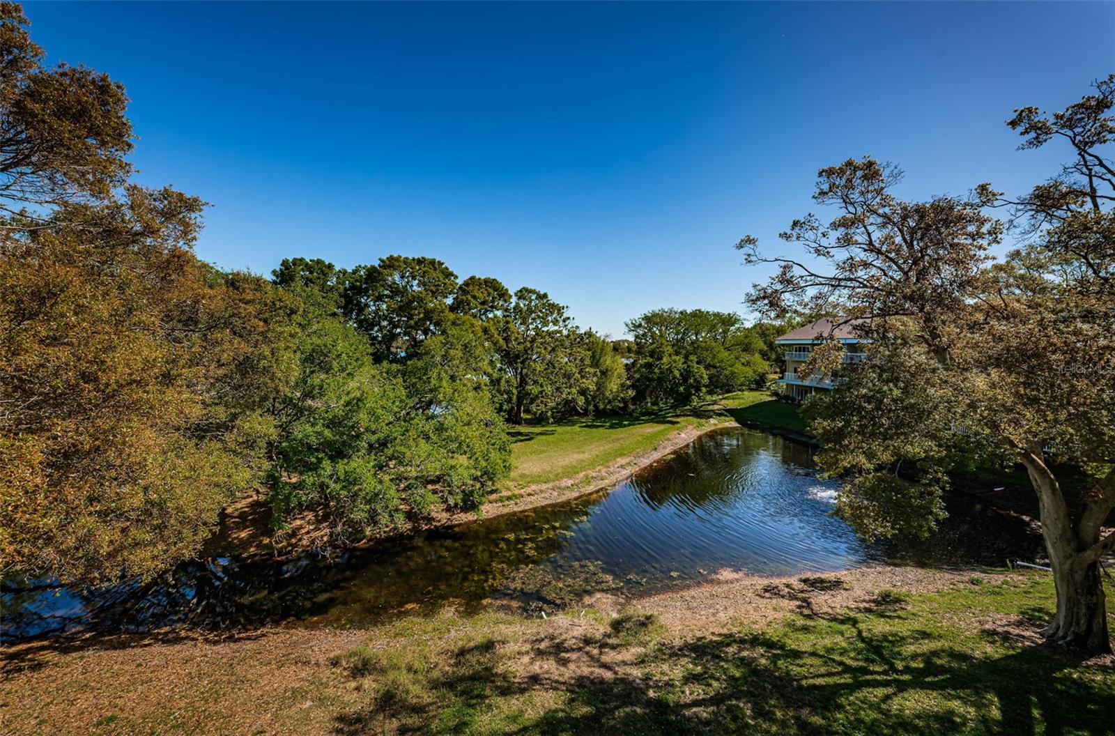 Views of the Pond from Both Bedrooms