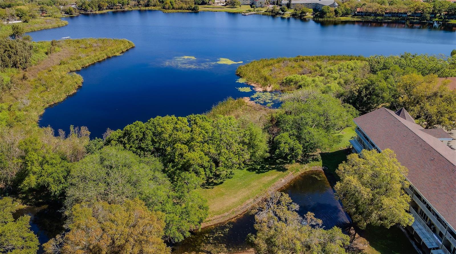 Ariel Views of Ponds and Lakes behind building