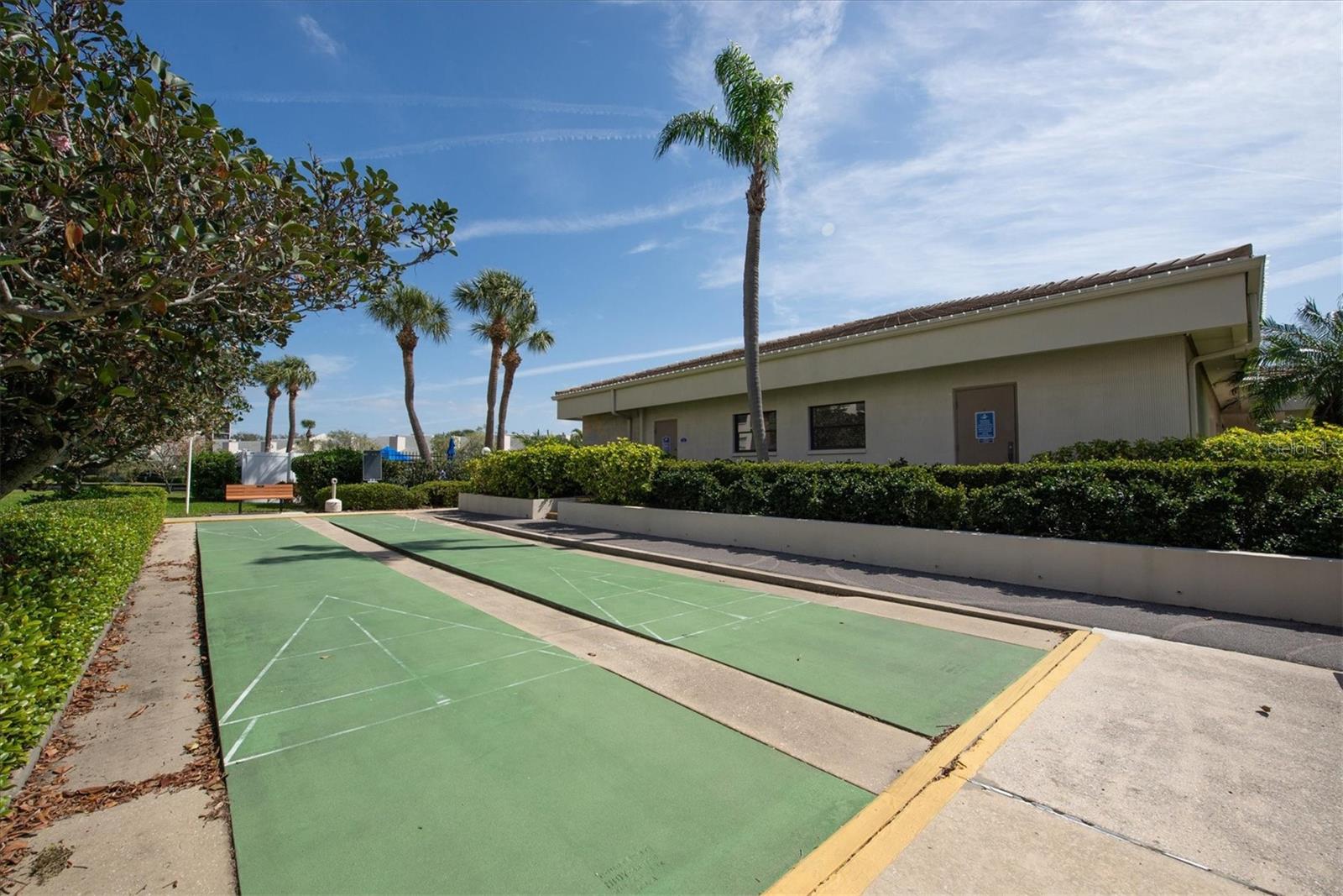 Shuffleboard Court