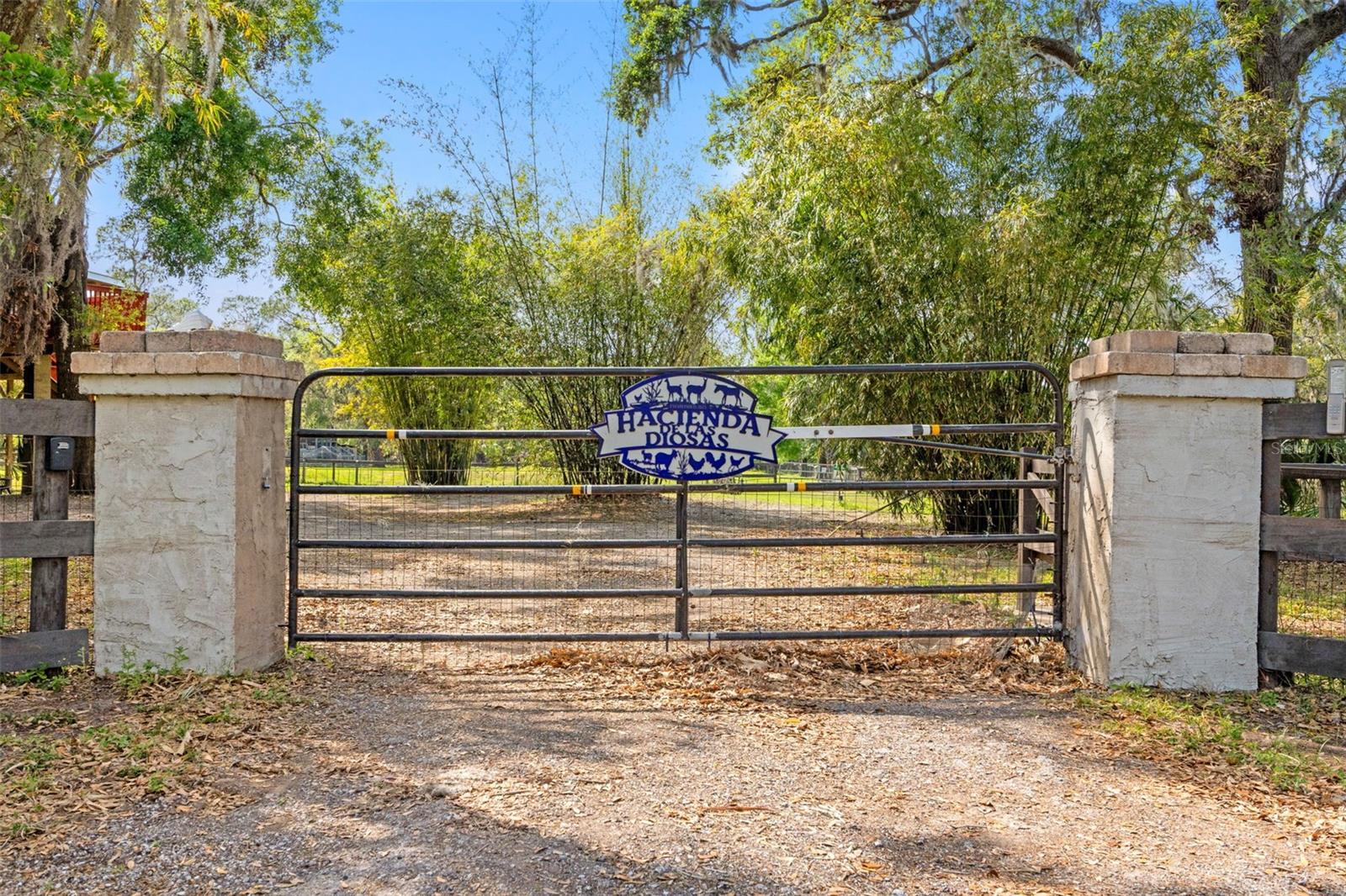 Automatic Gate