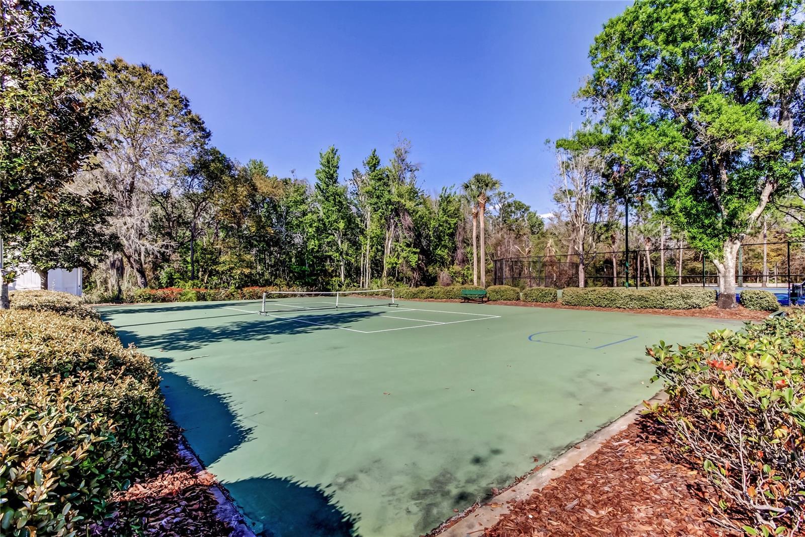 Meadow Pointe 3 amenities - Pickelball