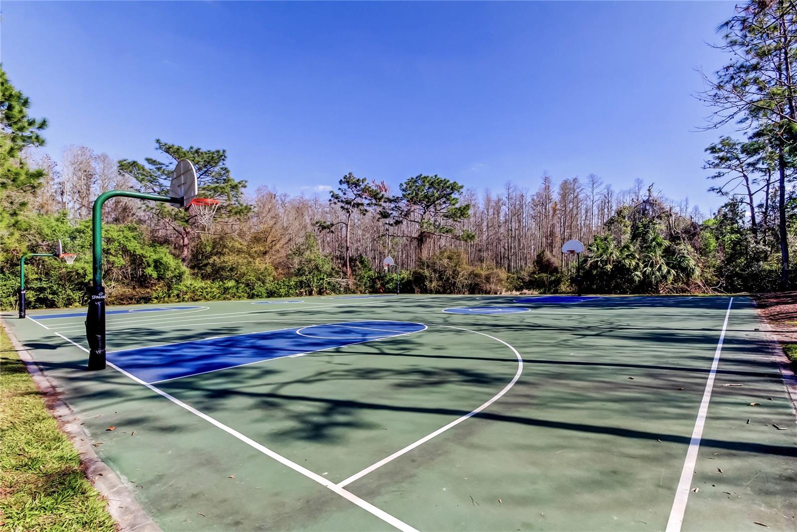 Meadow Pointe 3 amenities - Basketball