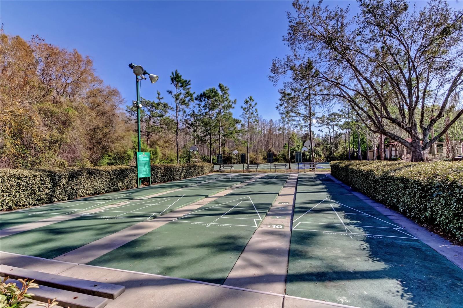 Meadow Pointe 3 amenities - Shuffleboard