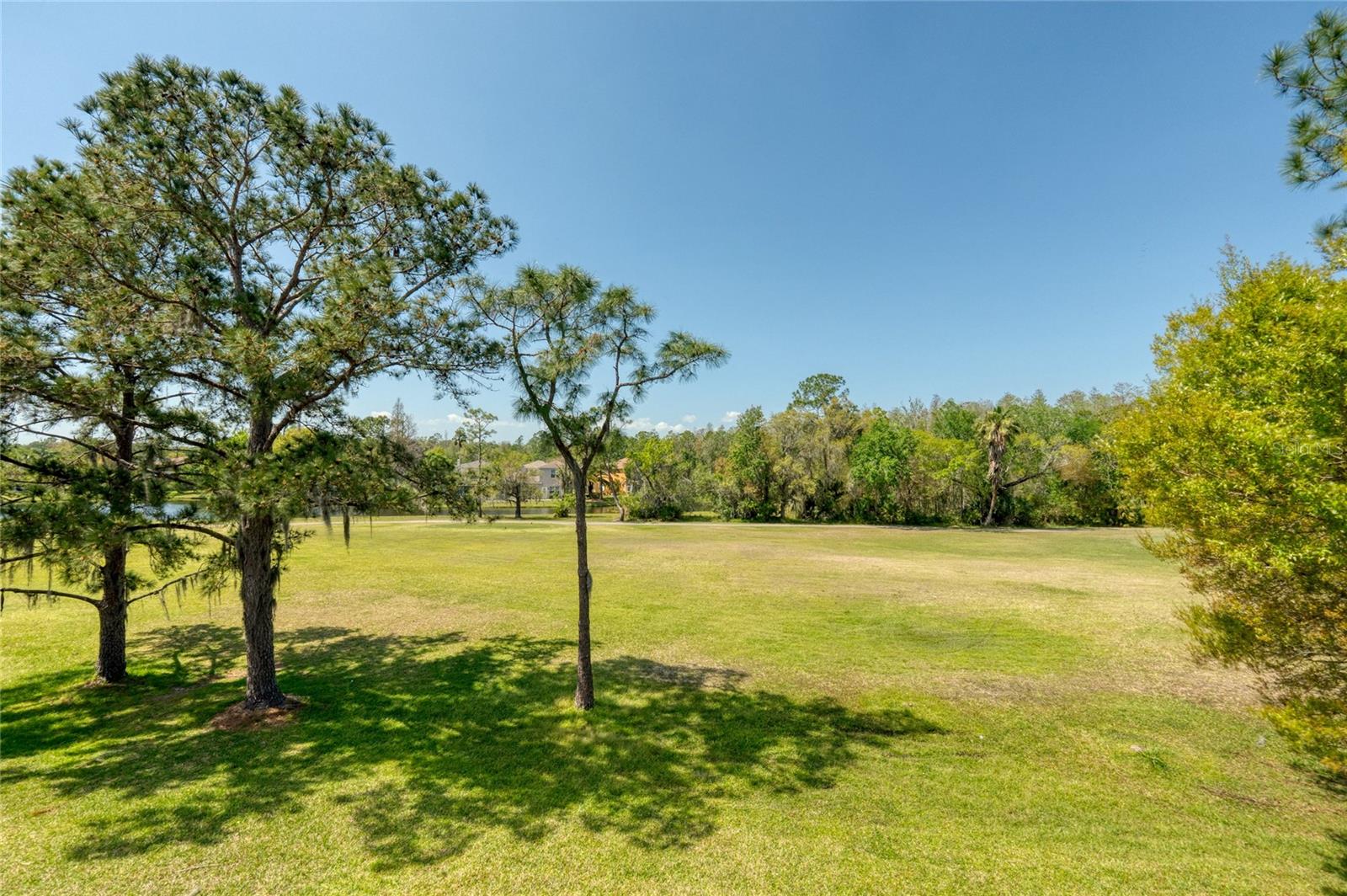 This is truly a dream backyard!!!!