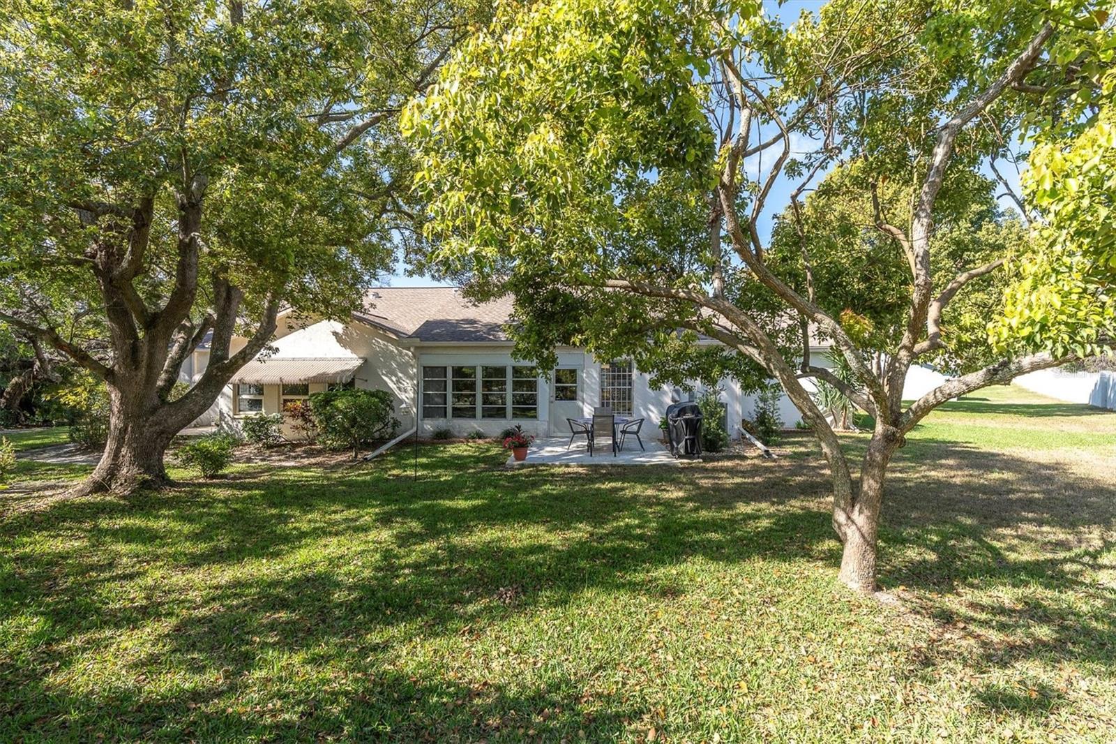 Large rear yard with poured concrete patio.