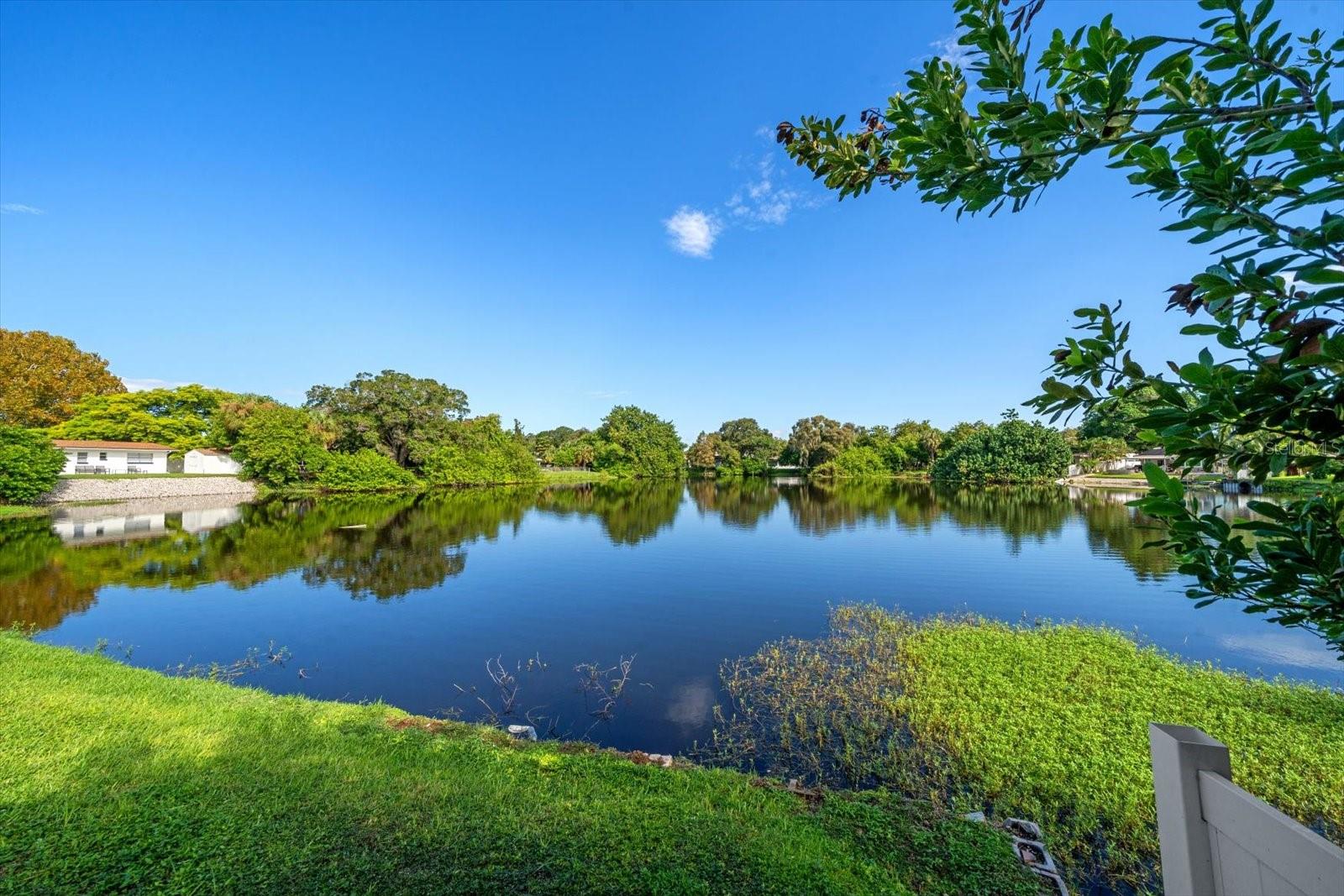 Lake From Deck