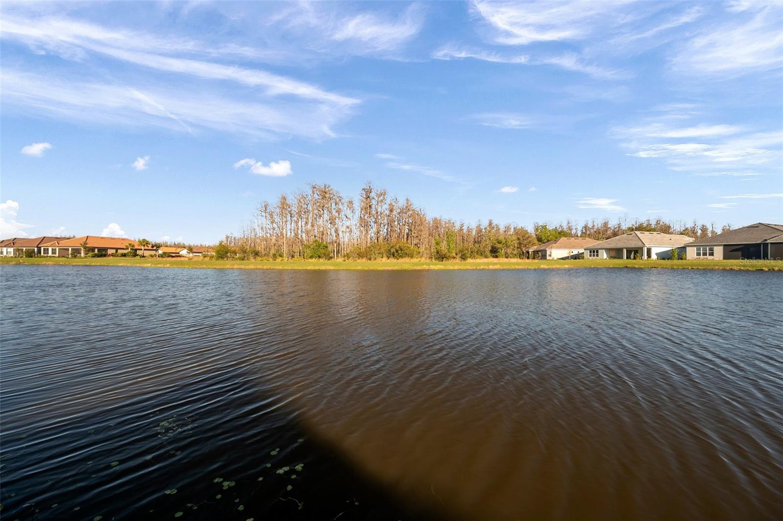 Peaceful Pond & Conservation Views