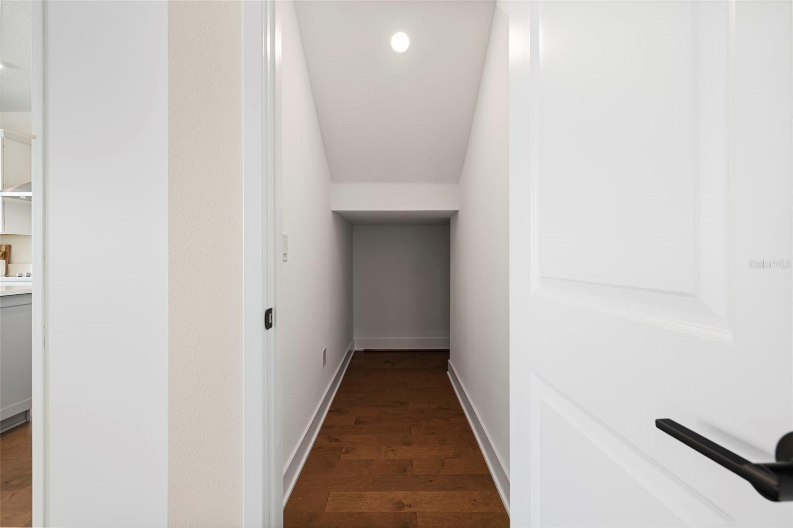 Under Stairs Closet