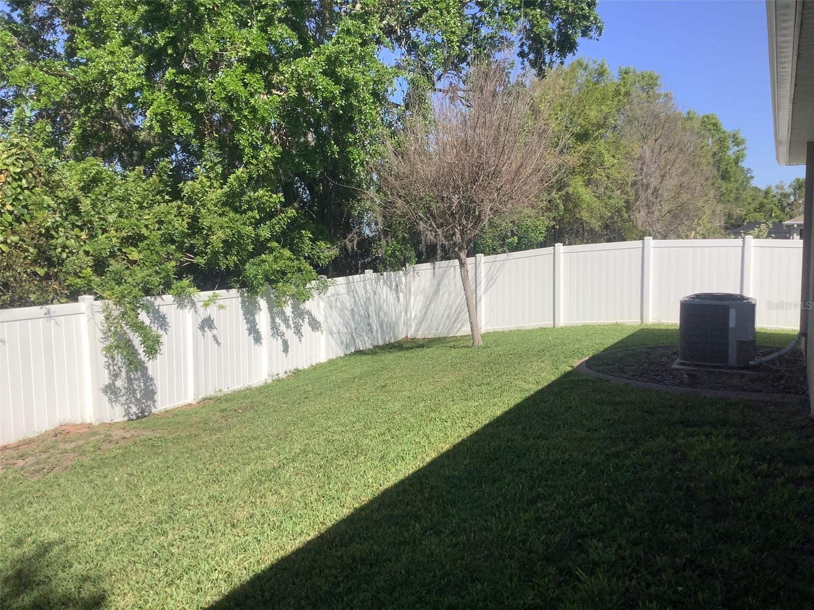 Beautiful Large Background from Patio