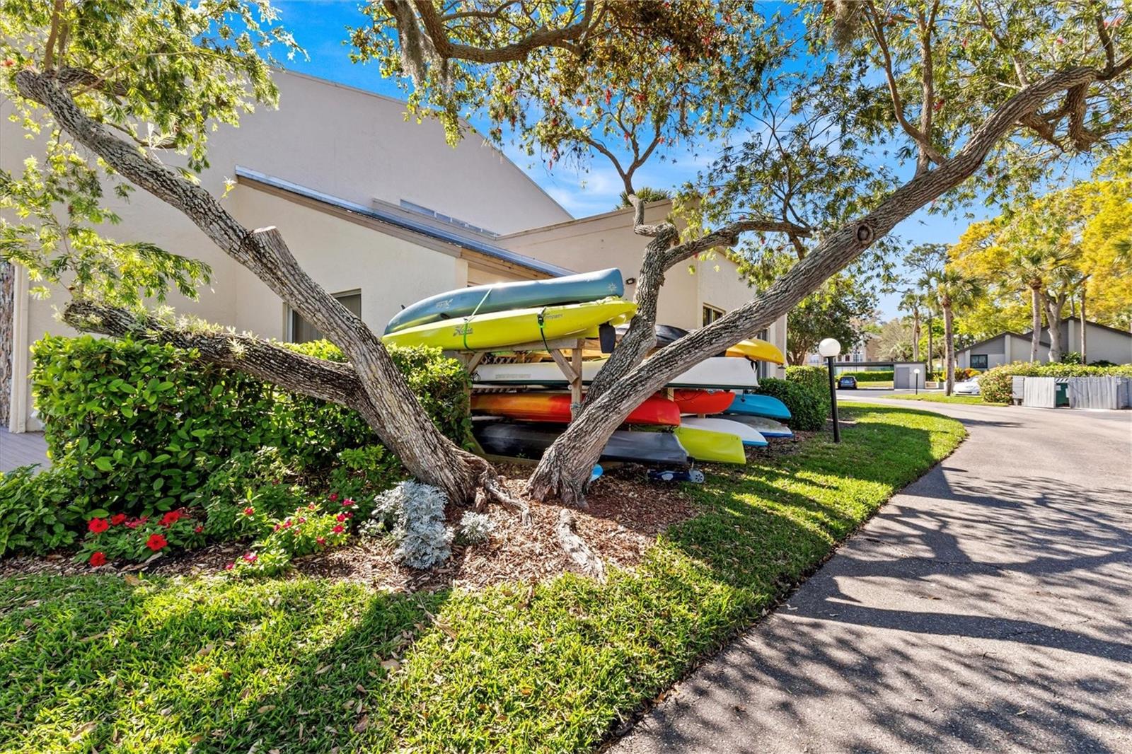 Kayak rack