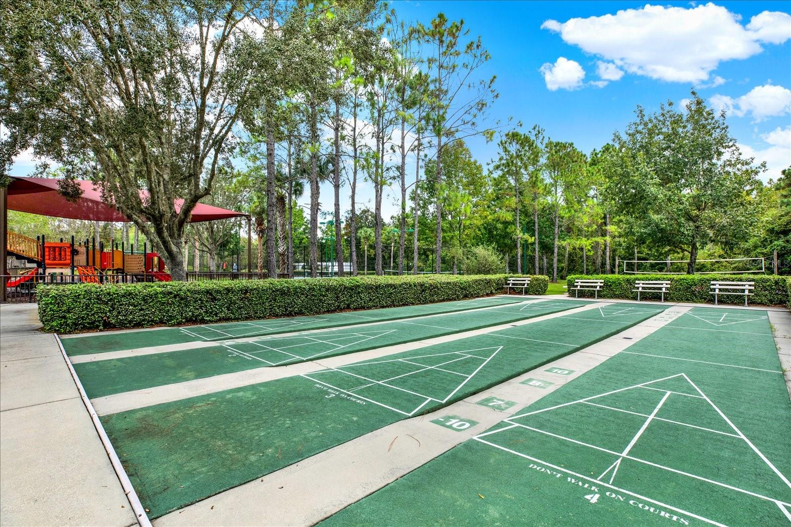 Shuffle Board Court