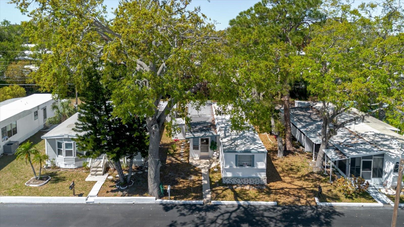 Aerial View With Shade Trees