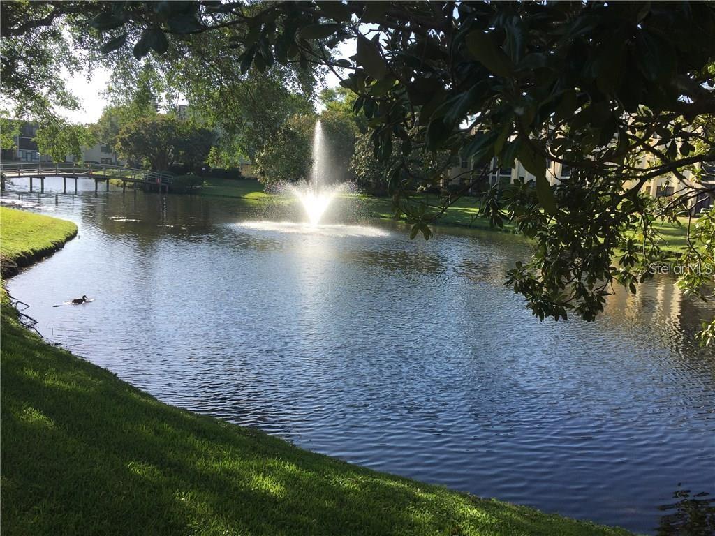 Another image of the meandering lake with ducks!