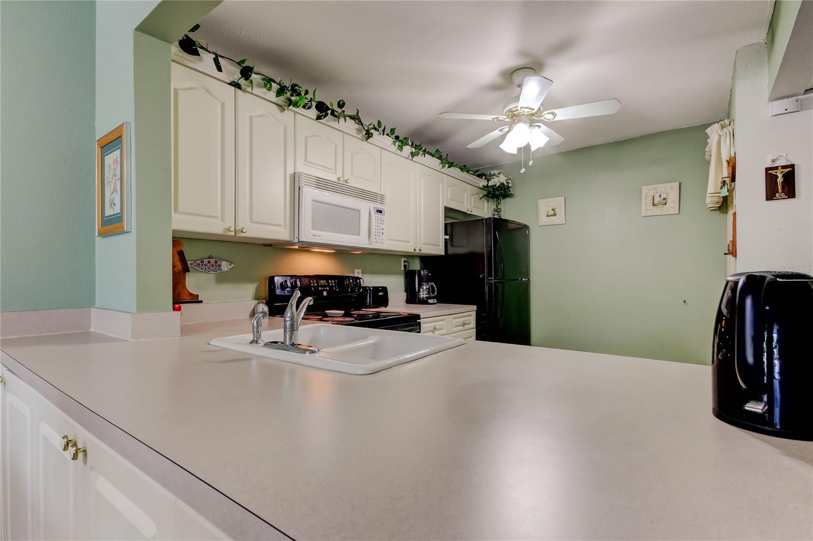 Large Counter has cabinets below in the Great Room