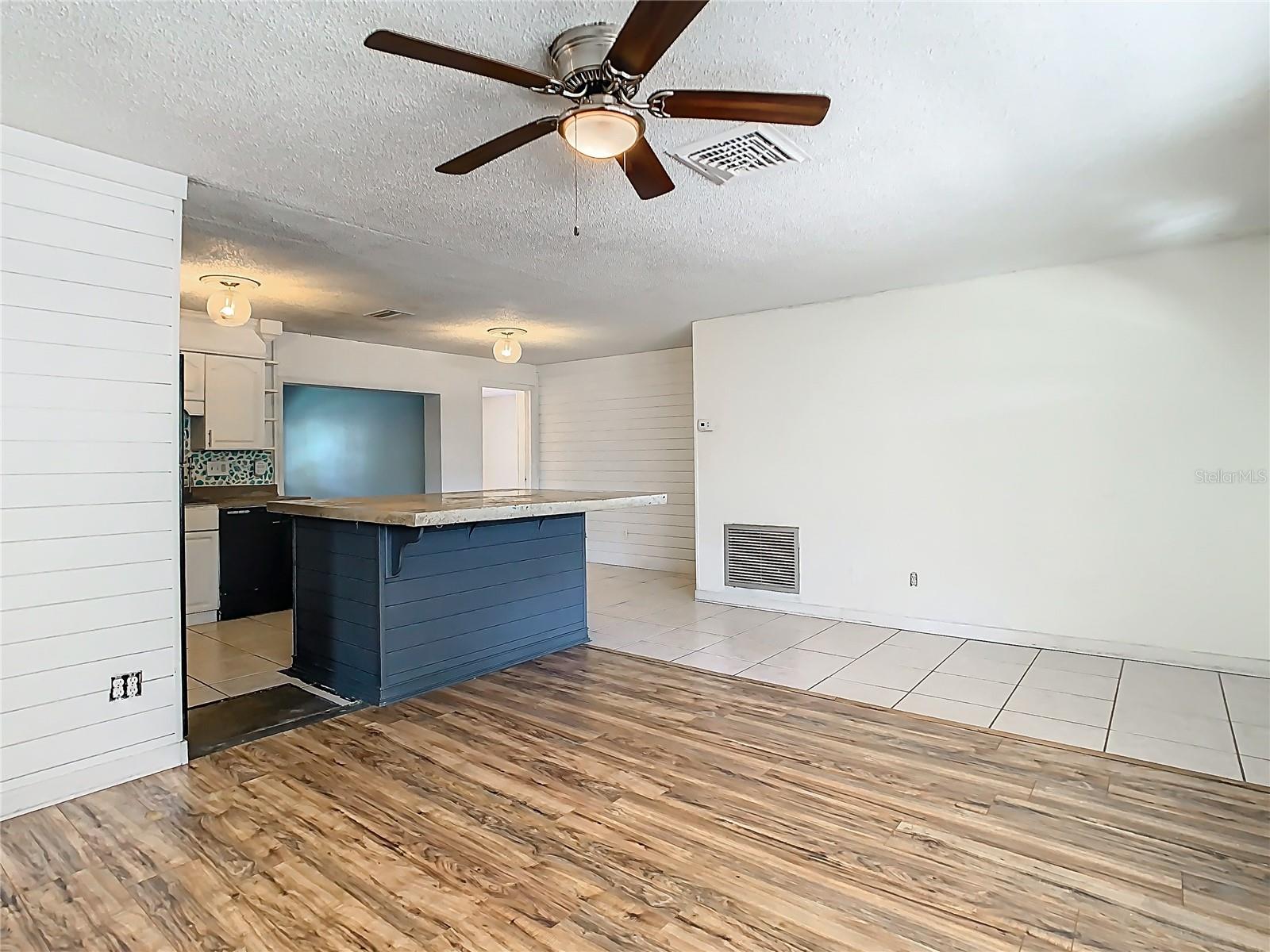 Living Room - Dining Room - Kitchen