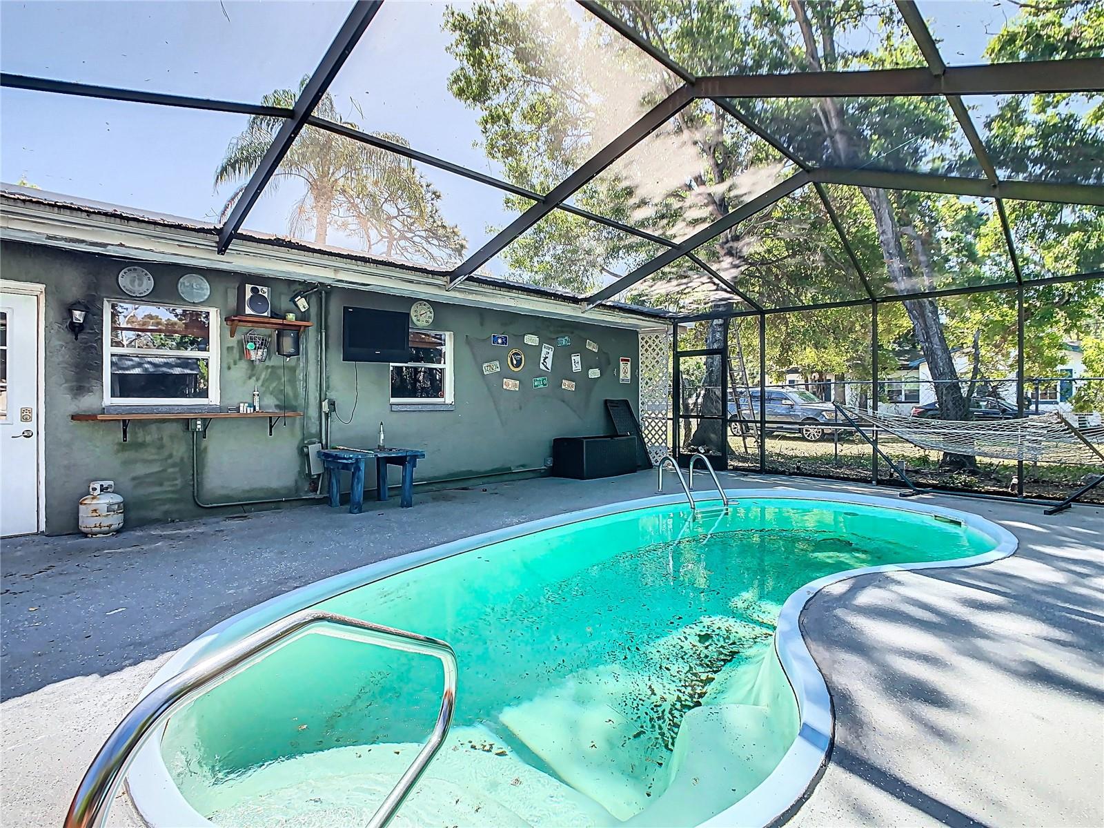 Outdoor Living and Pool Area