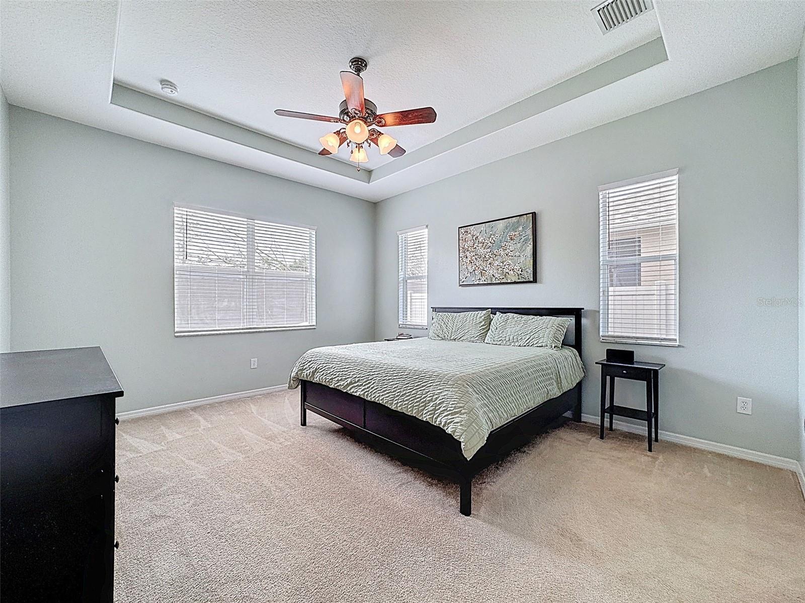 PRIMARY BEDROM WITH TRAY CEILING AND MANY WINDOWS