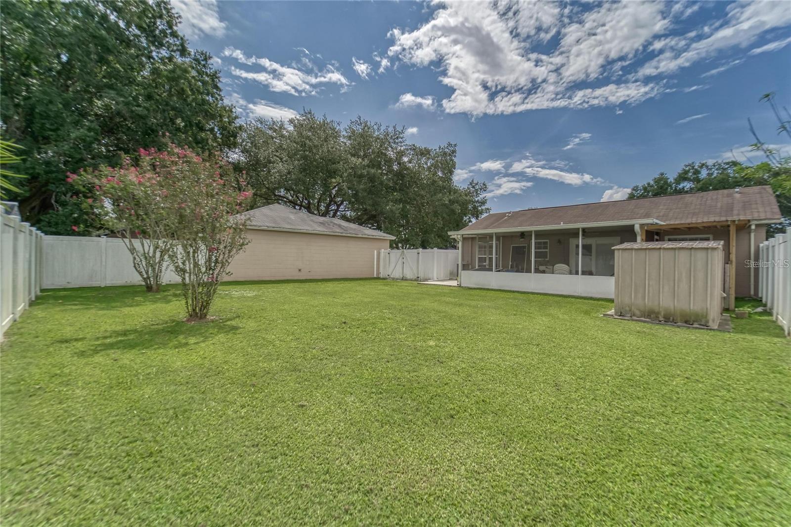 Fenced Backyard