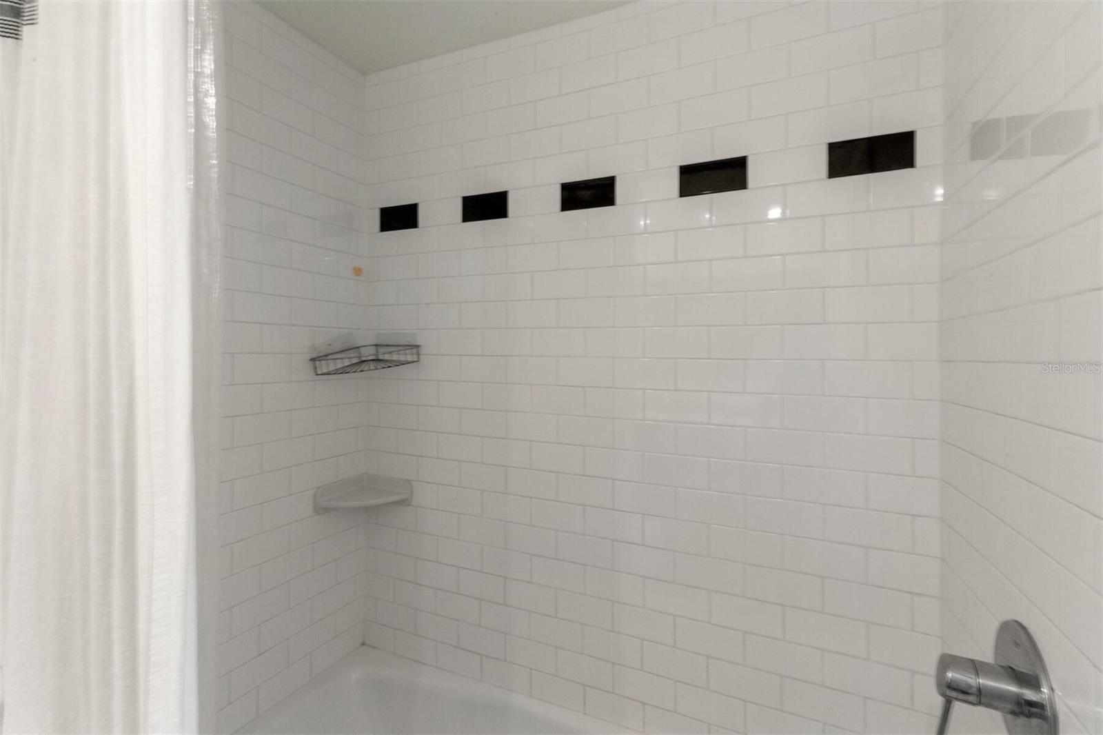 Master Shower/Tub