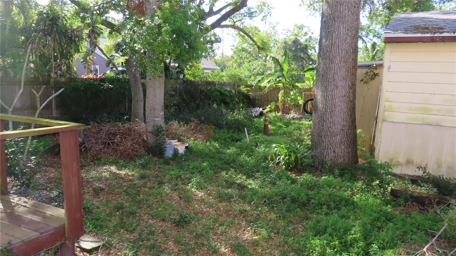 LARGE BACK YARD