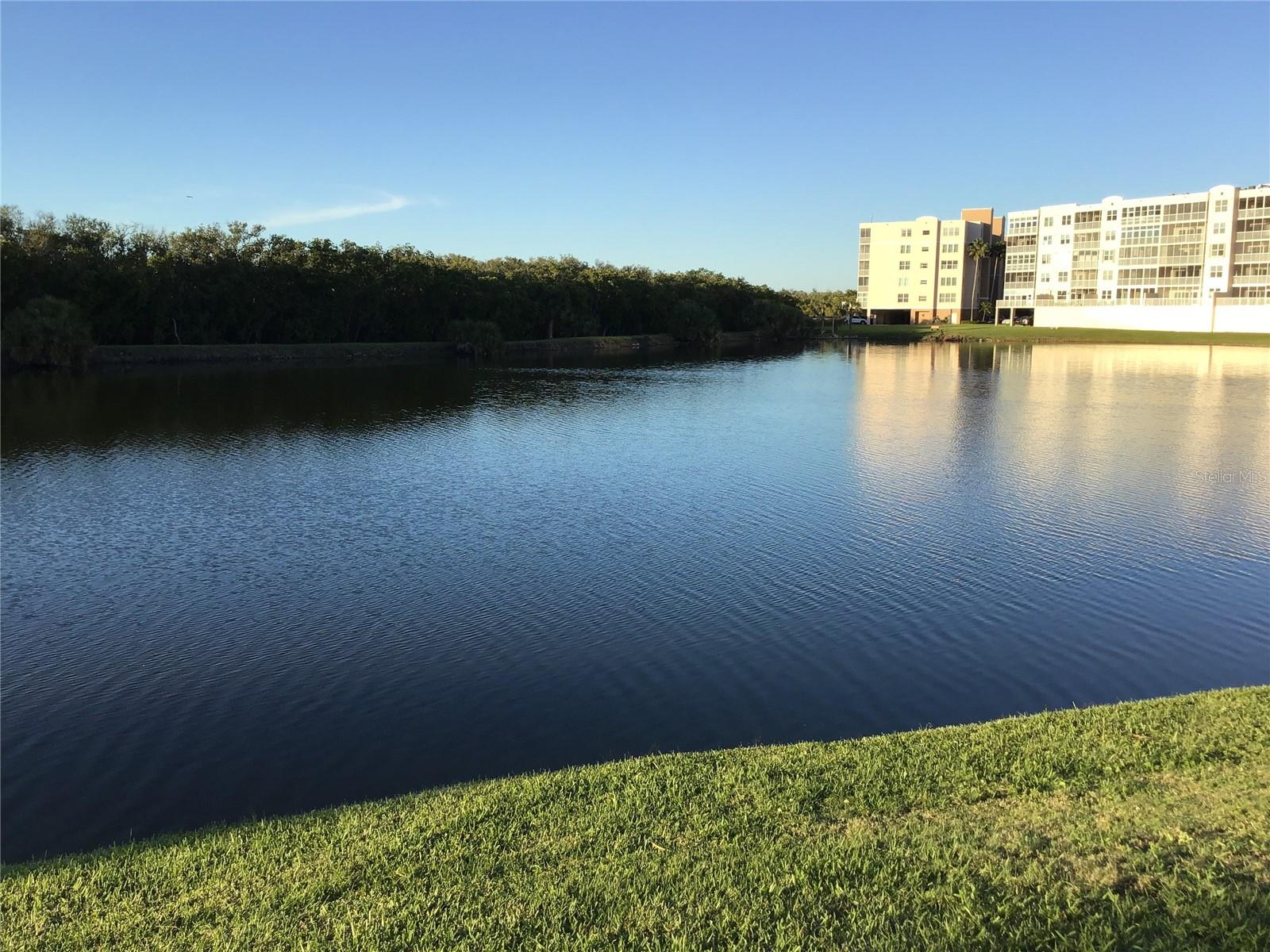 View of Long Bayou