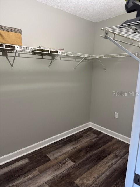 Primary walk in closet