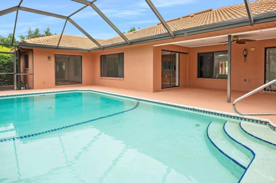What a gorgeous Pool