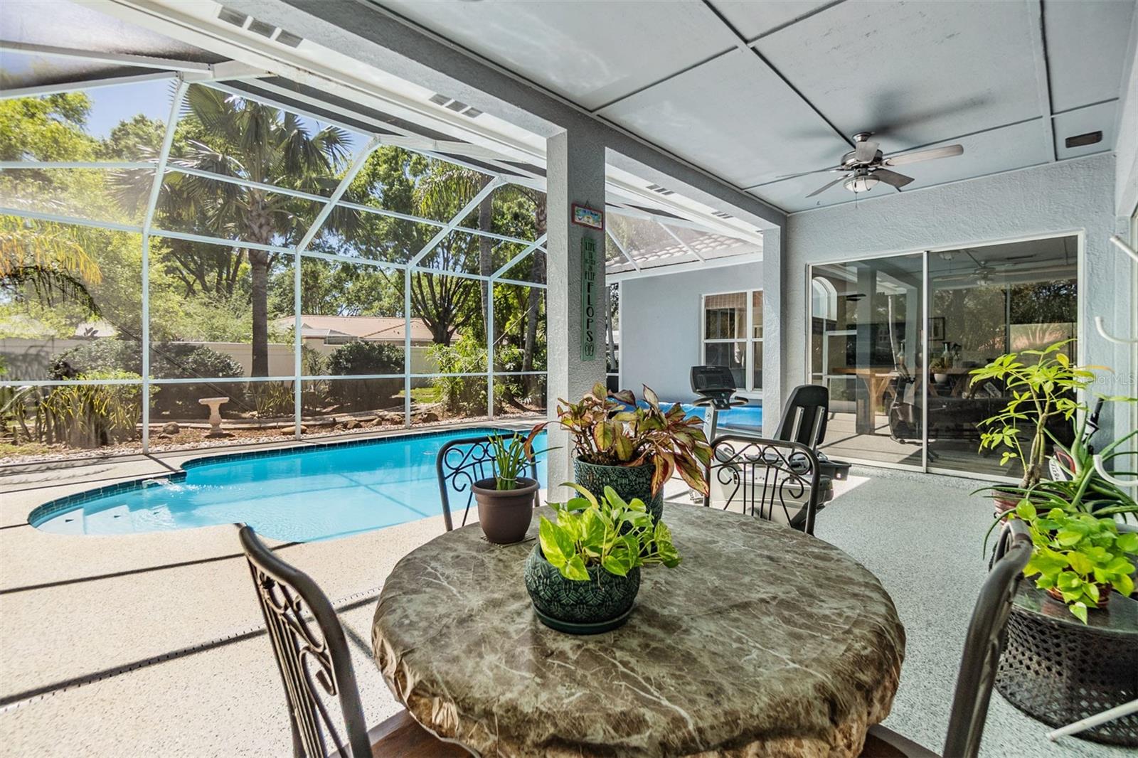 Spacious covered area by the pool, New lower pet screens and 2 doggy doors to go outside, new ceiling fans.