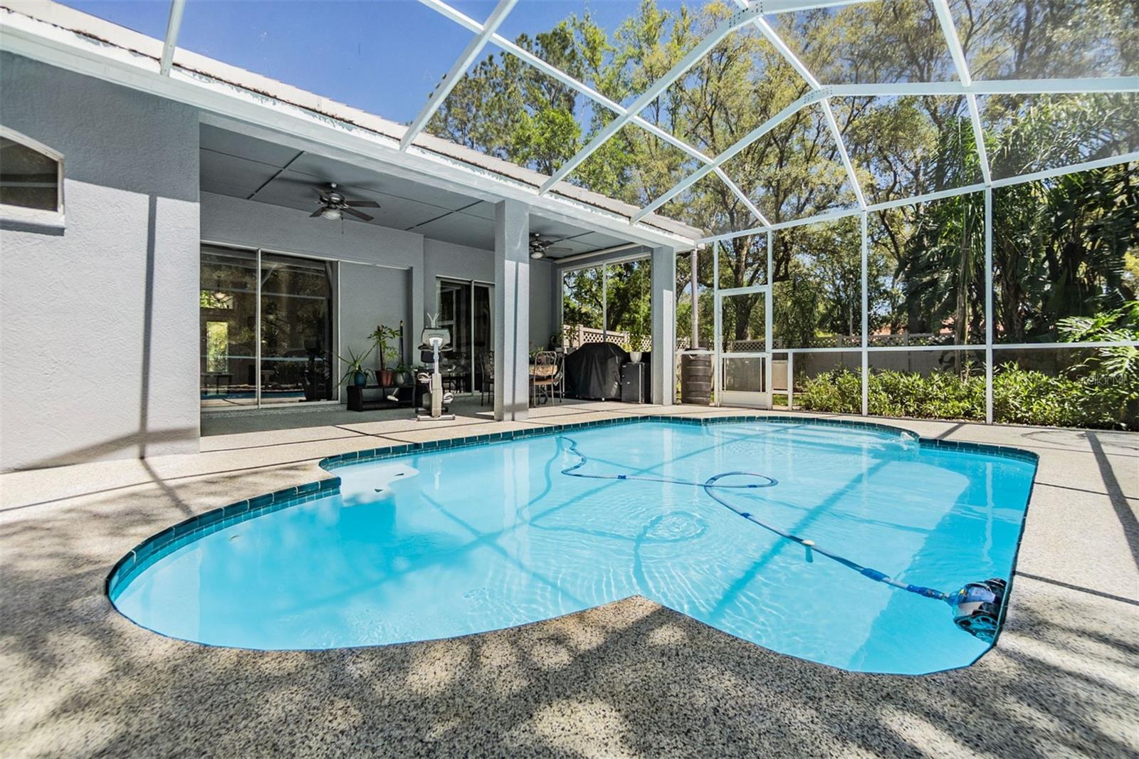 Large pool, covered area and pool with cover and roller for cover.