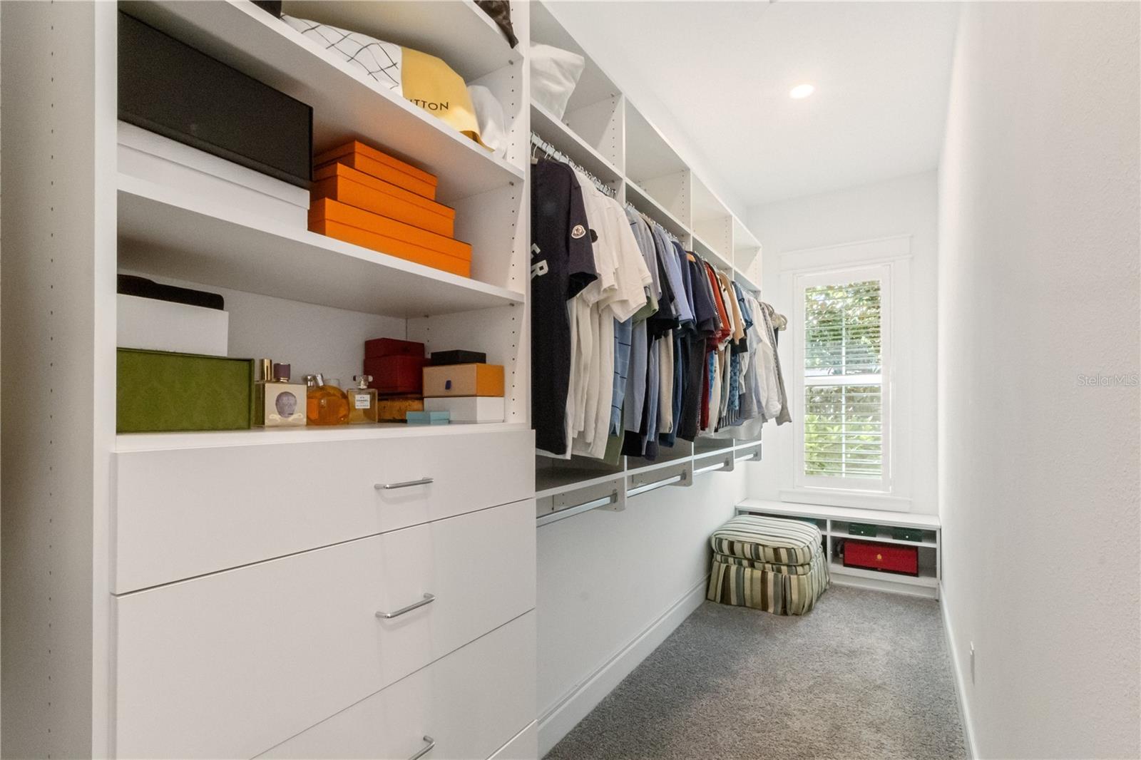 Primary bathroom closet