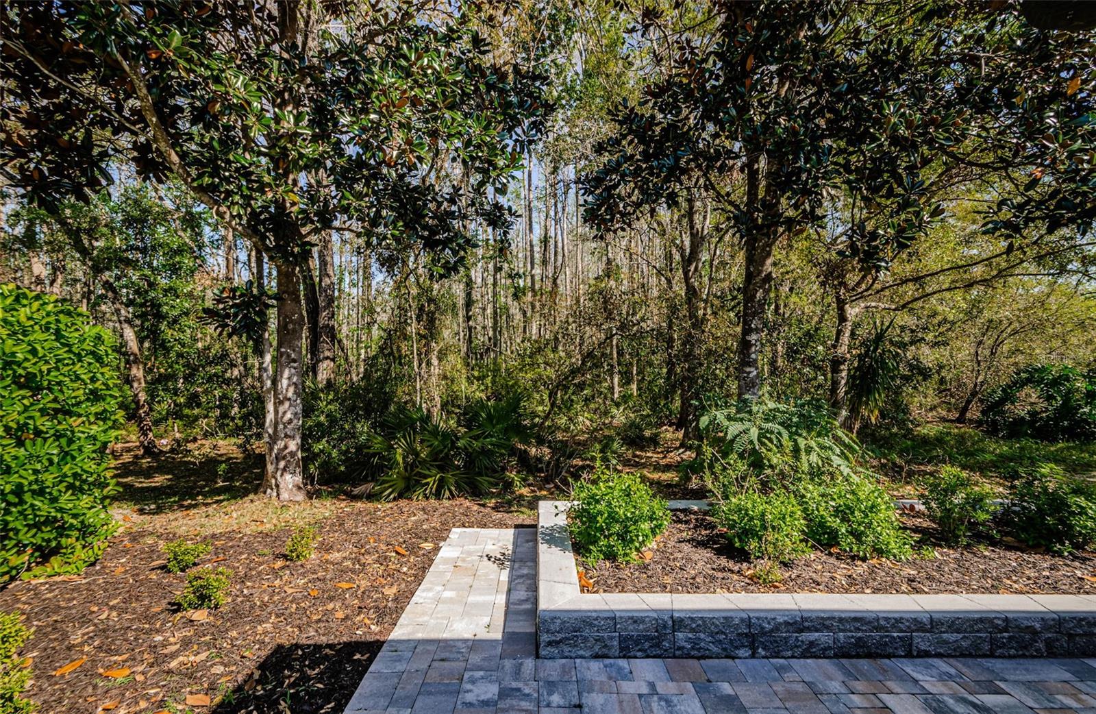 Butterfly garden