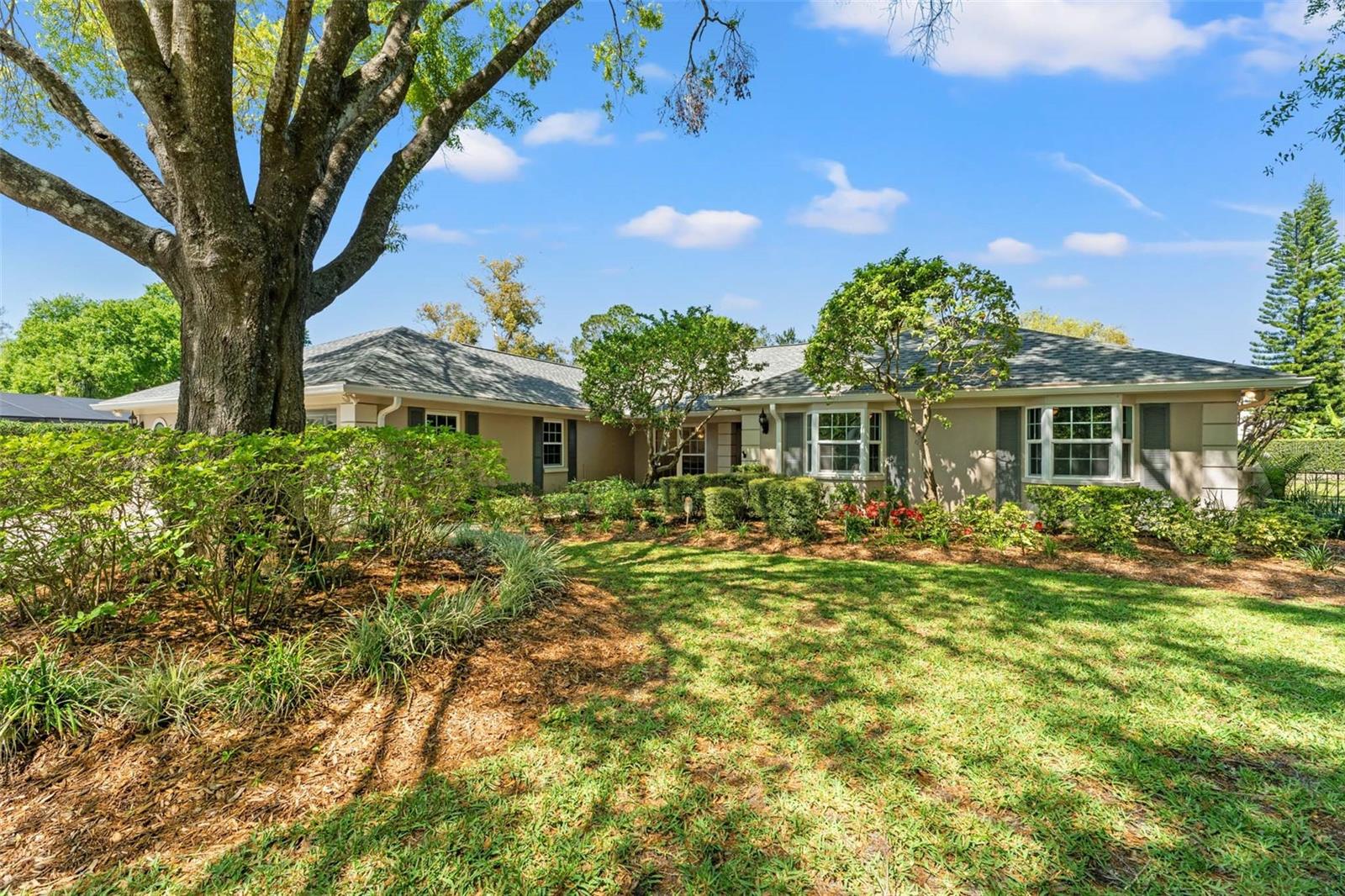 Front elevation under oak tree canopy.