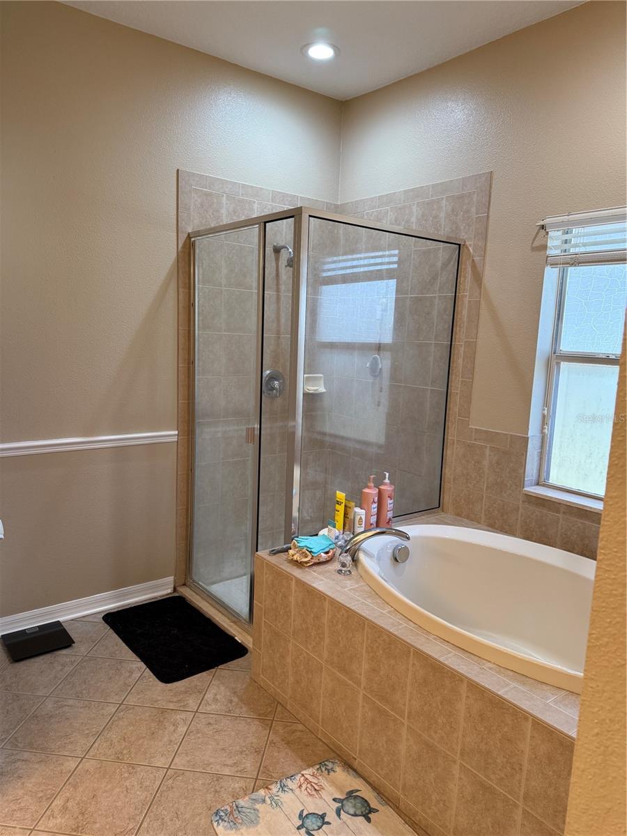 Primary Garden Tub and Shower