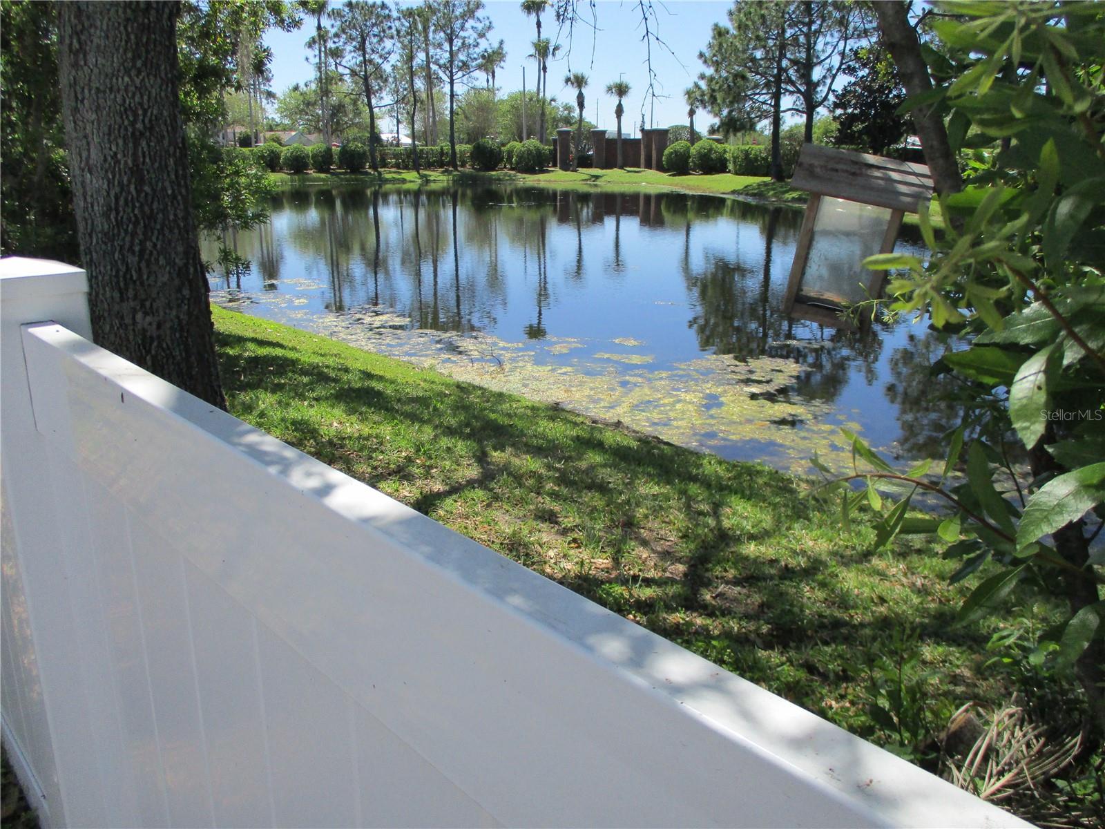 Pond View