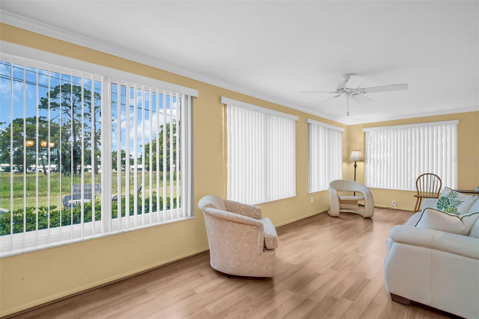 Florida Room with Green Views