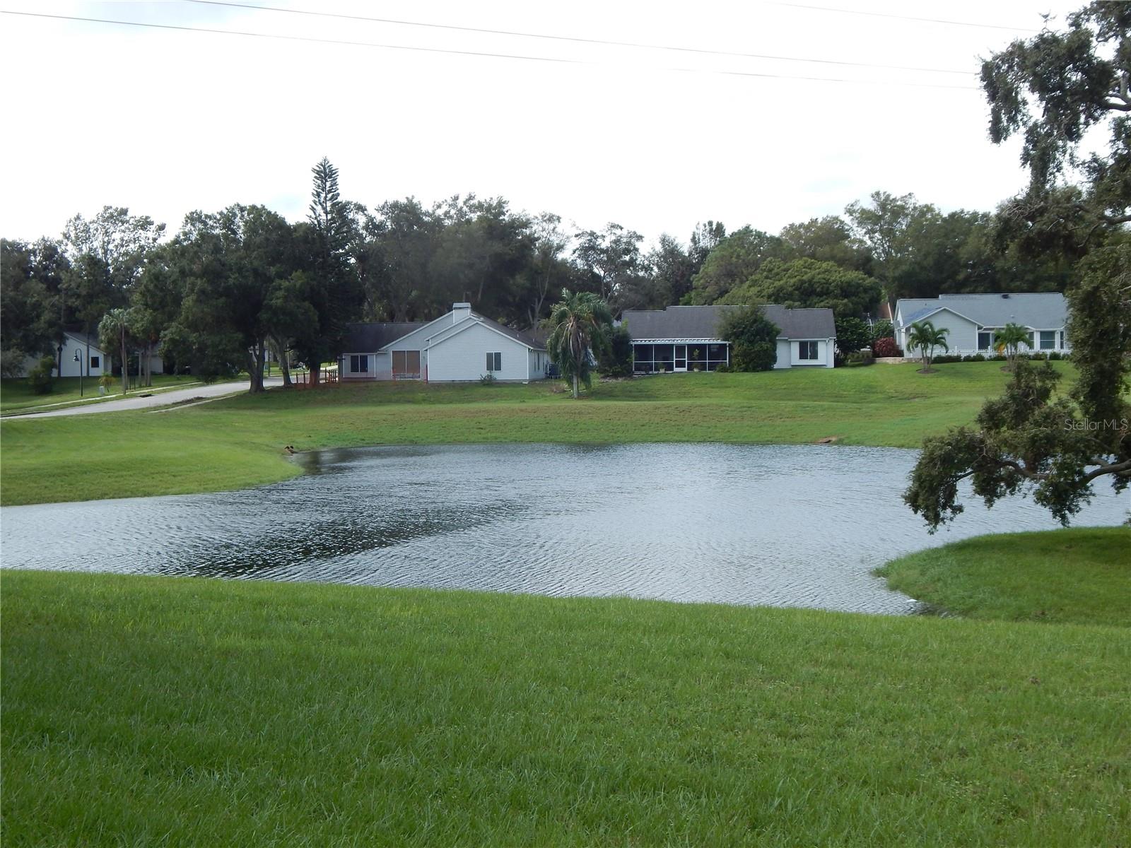 NO NEAR NEIGHBORS! JUST WILDLIFE AND BEAUTY!