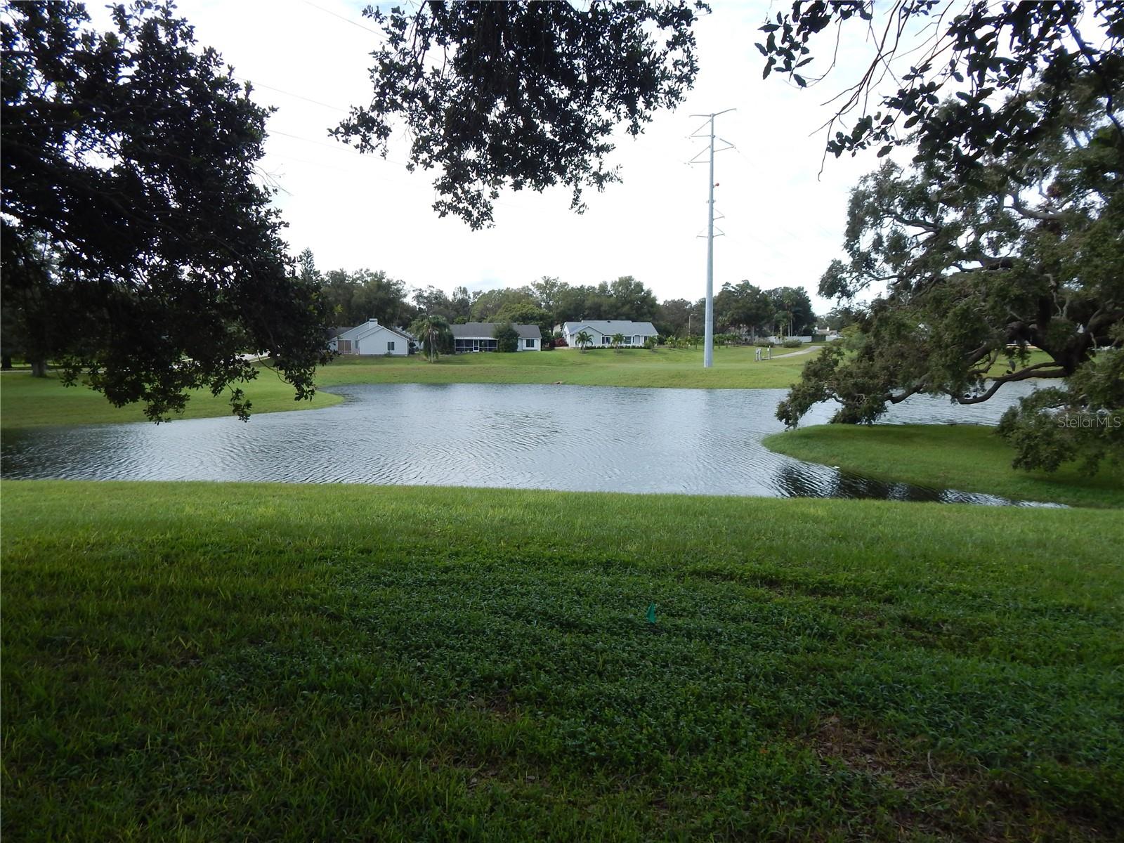 POND IS SO GORGEOUS DURING RAINY SEASON!