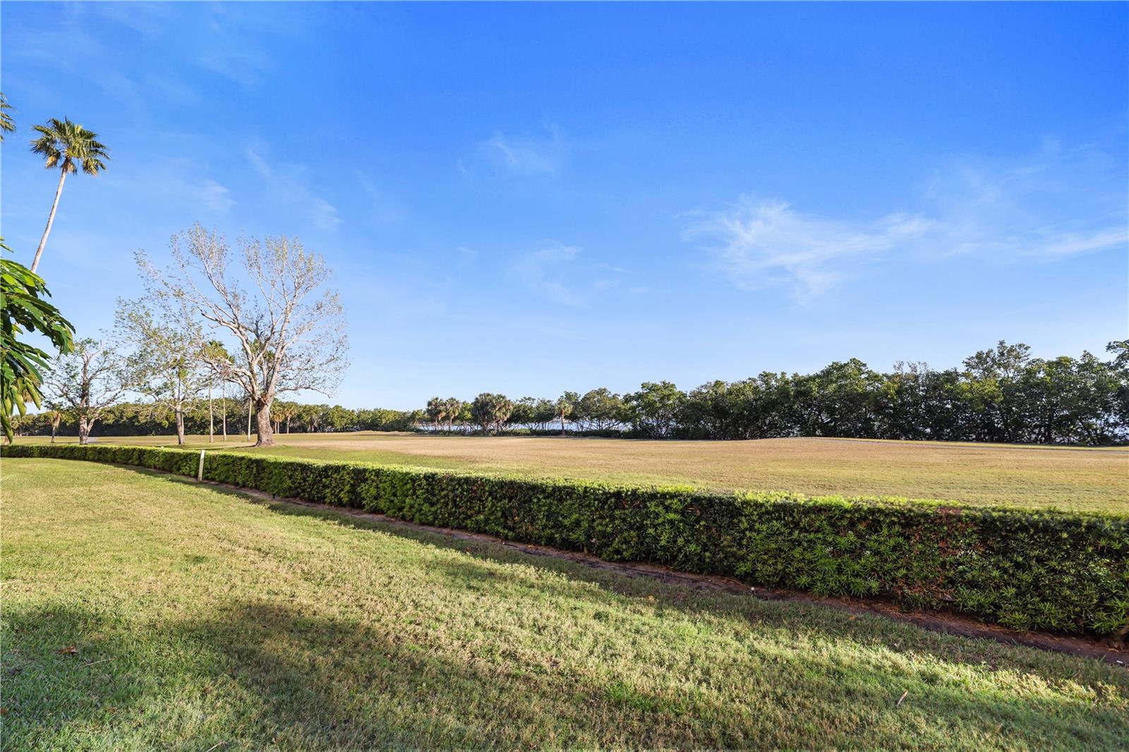 Part of the Cove Cay golf course behind this condo with a partial view of Tampa Bay through the trees.