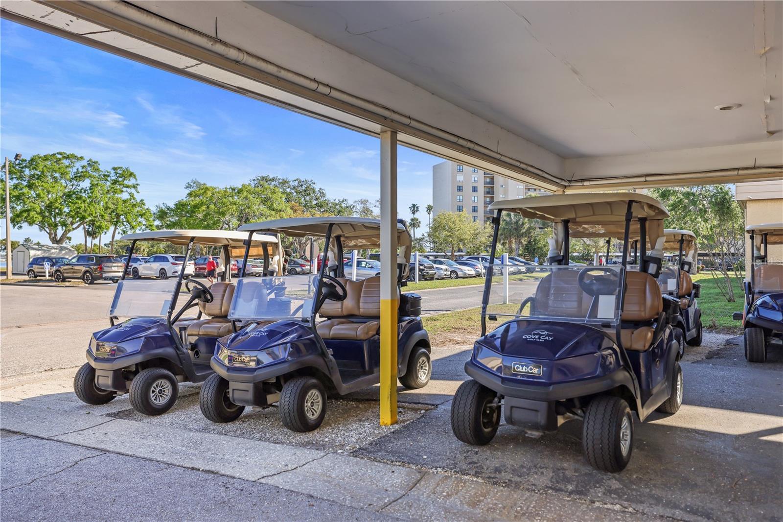 Golf carts for rent/use