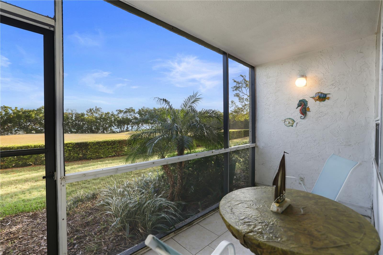 Screened in patio looking toward the southeast - view of Tampa Bay through the trees.