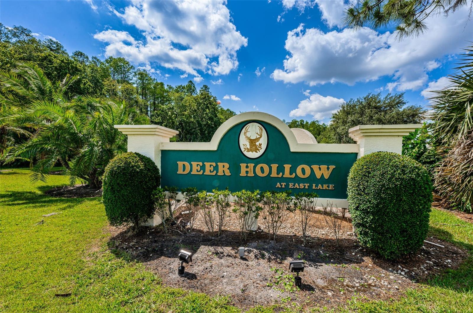 Deer Hollow Entrance