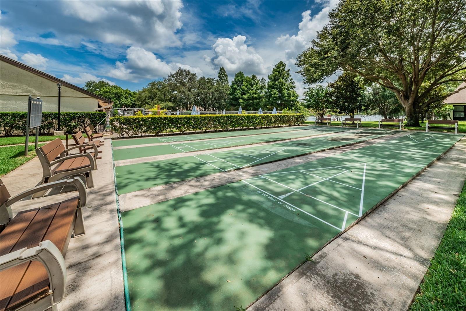 Shuffleboard